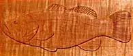 Bild 3: Schnitzübung: Fischstudie, Flachrelief, Birnbaum tmb fish1